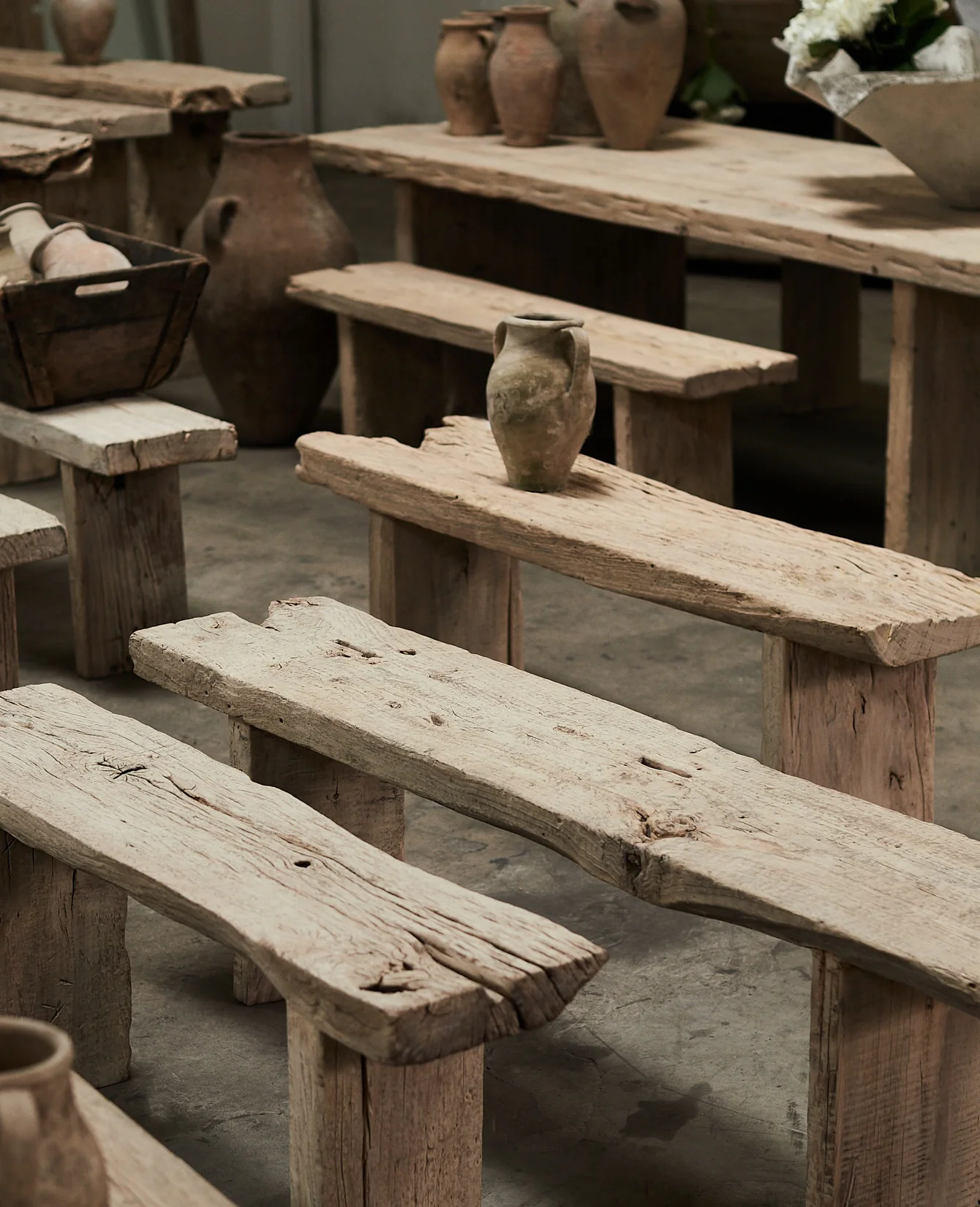 Chunky Elm Bench - Bleached - Image 5