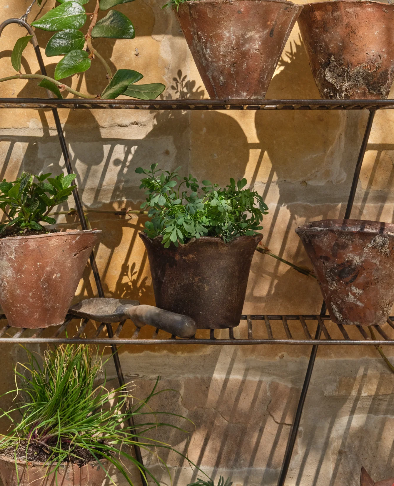 Devotion Flower Pot - Image 5