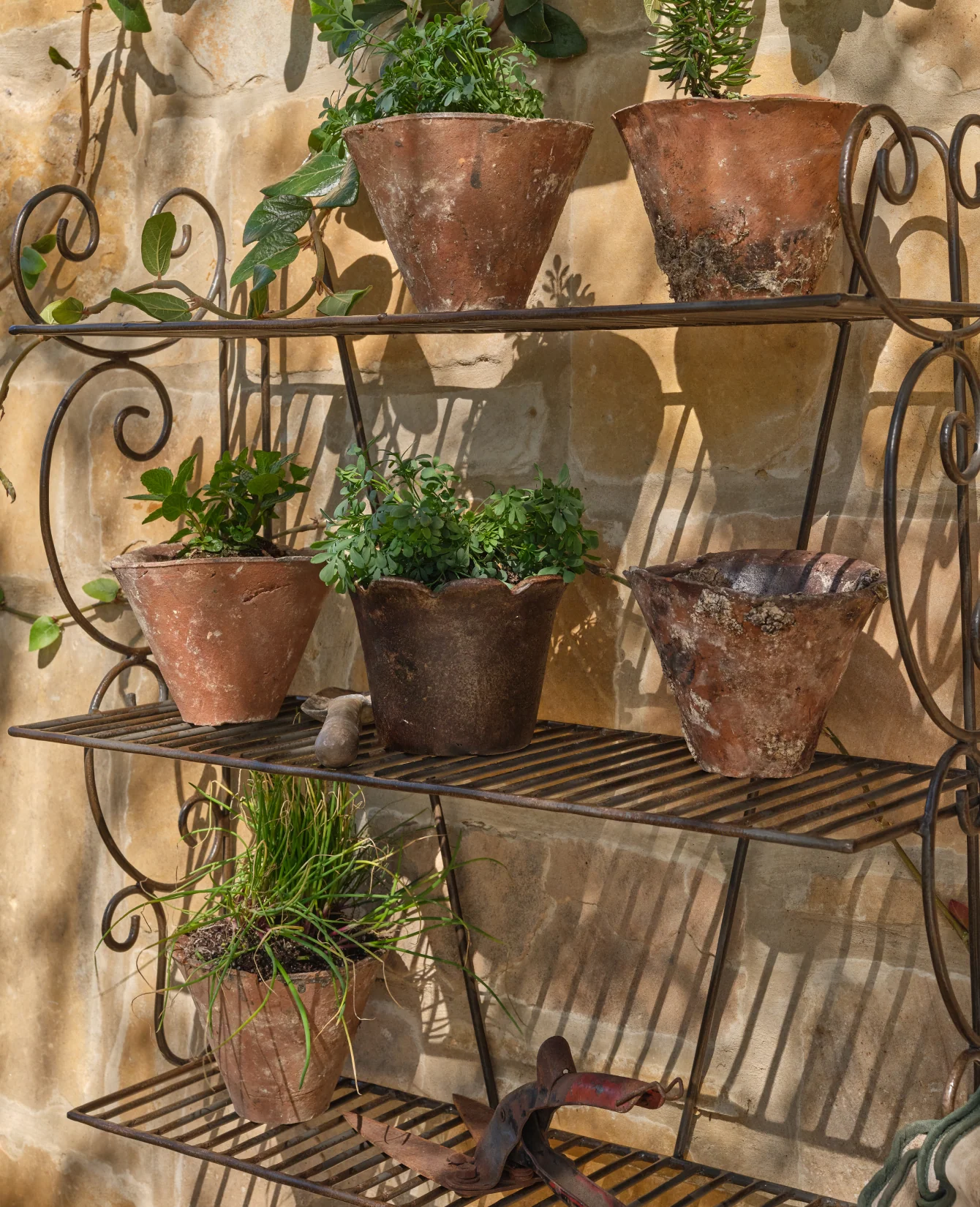 Devotion Flower Pot - Image 6