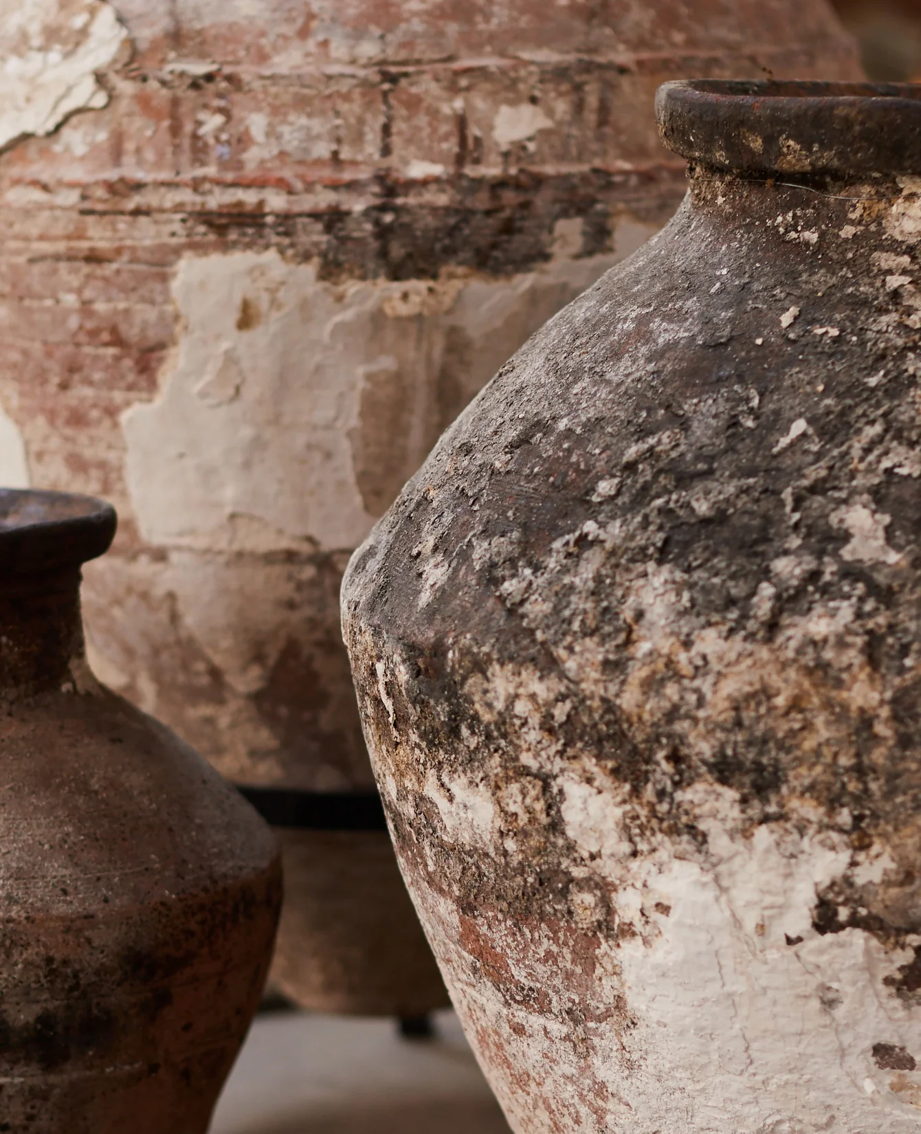 Enez Pot - Assorted - Image 3