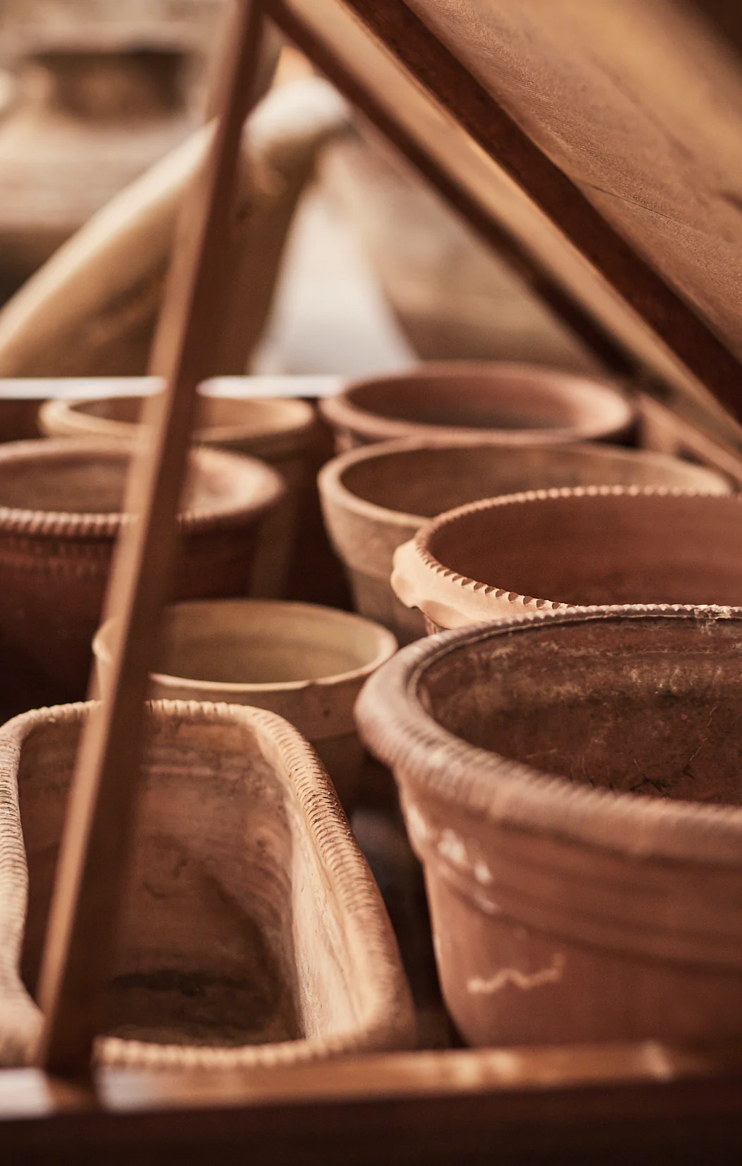 Fiore Pot - Image 4