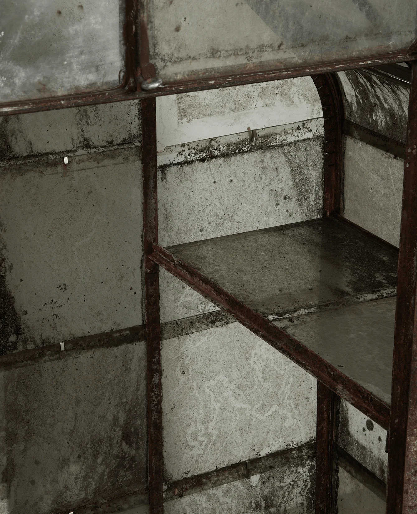 Greenhouse - Image 4