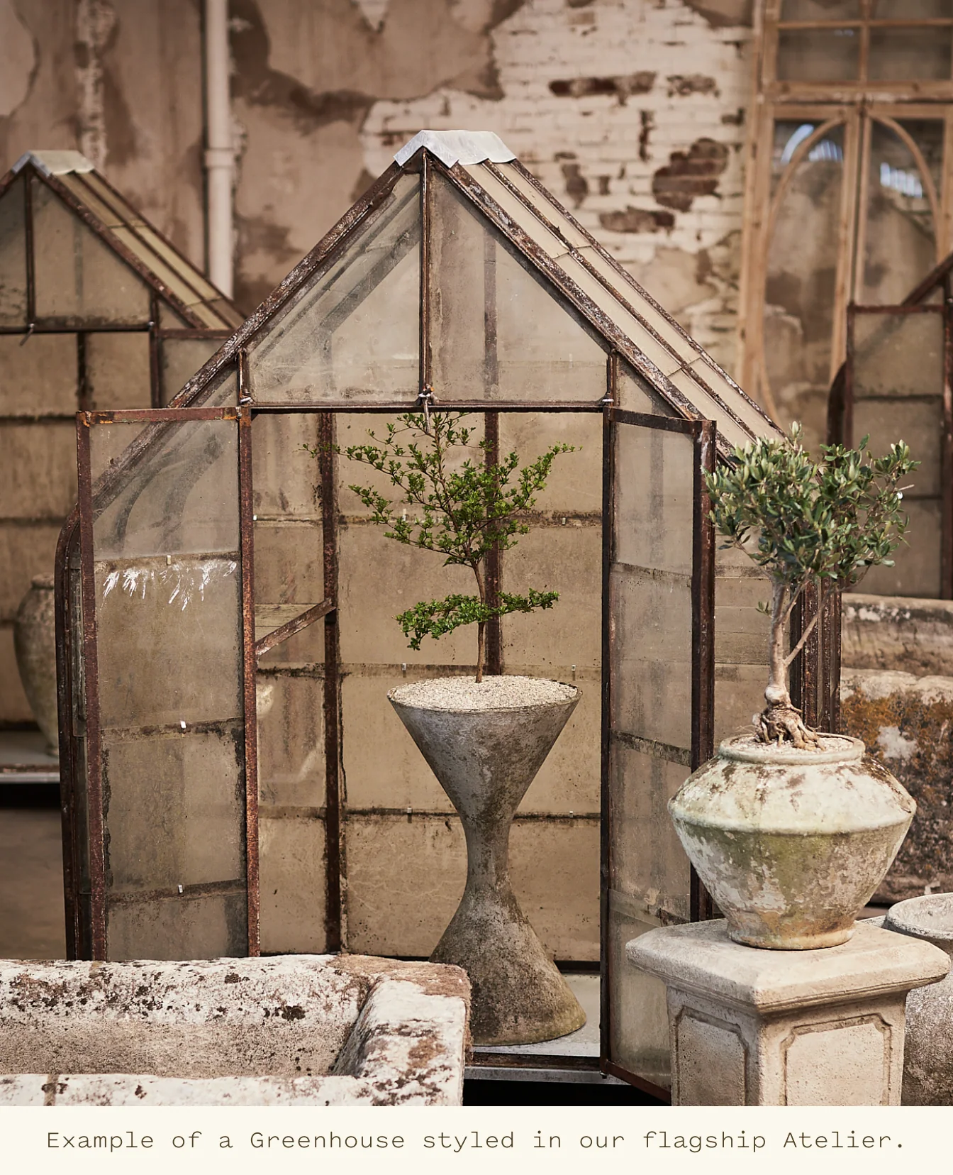 Greenhouse - Image 8