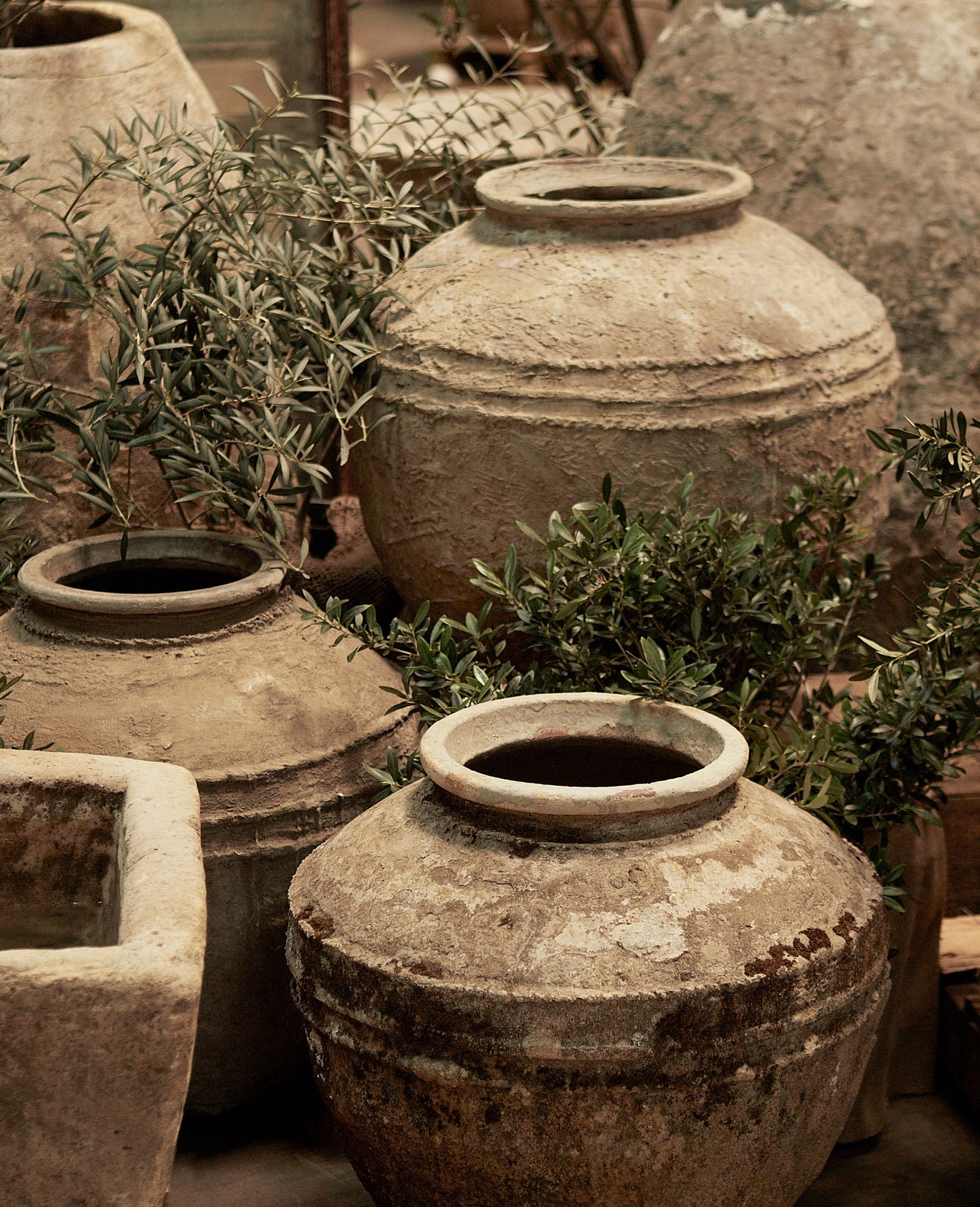 Indo Pot - Ringed - Image 3