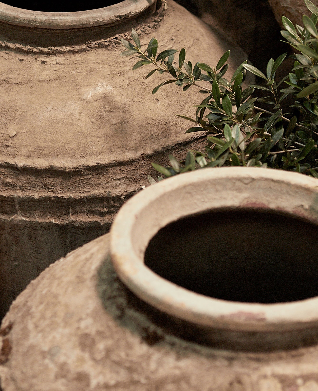 Indo Pot - Ringed - Image 4