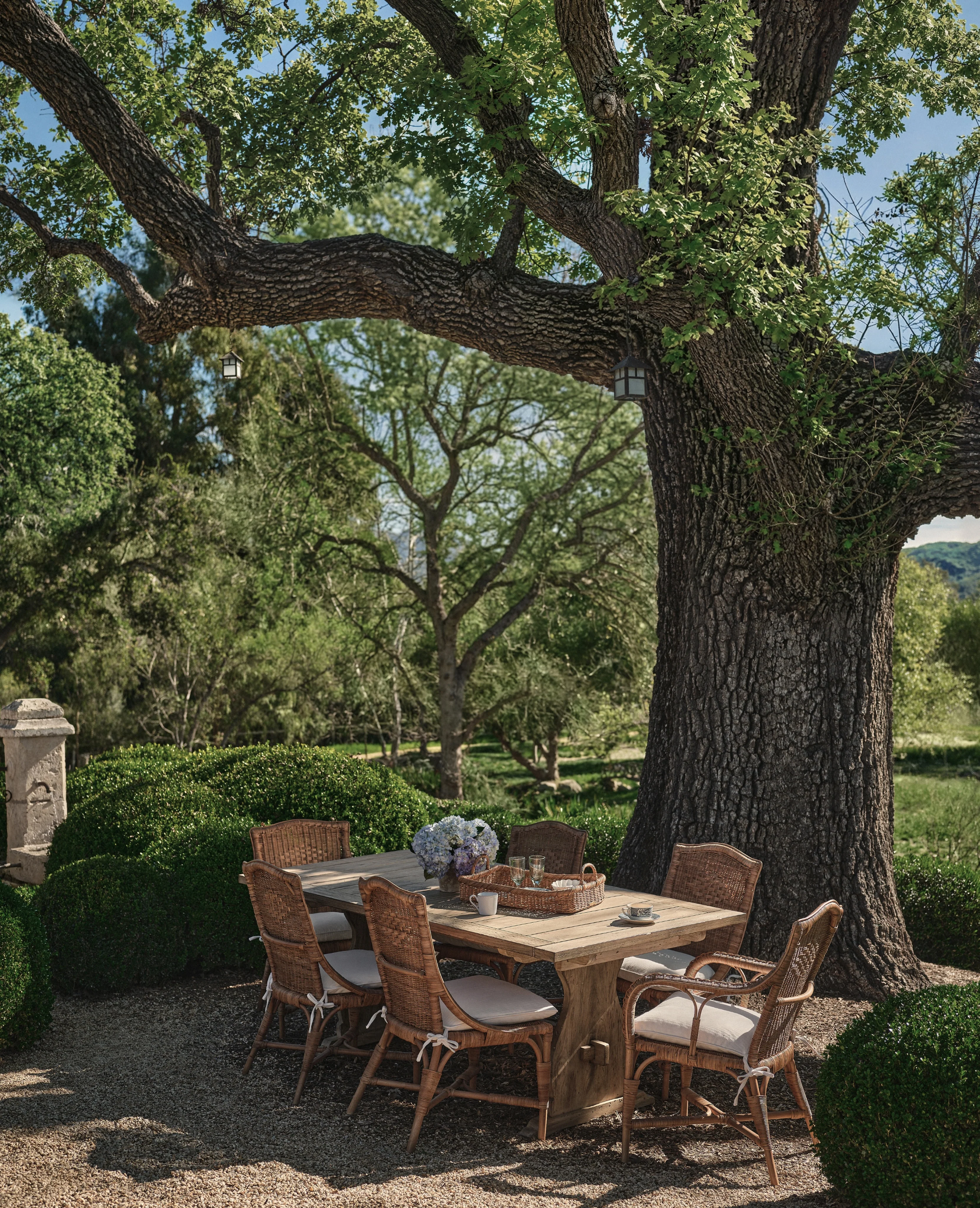 Memory Rattan Dining Armchair - Image 11