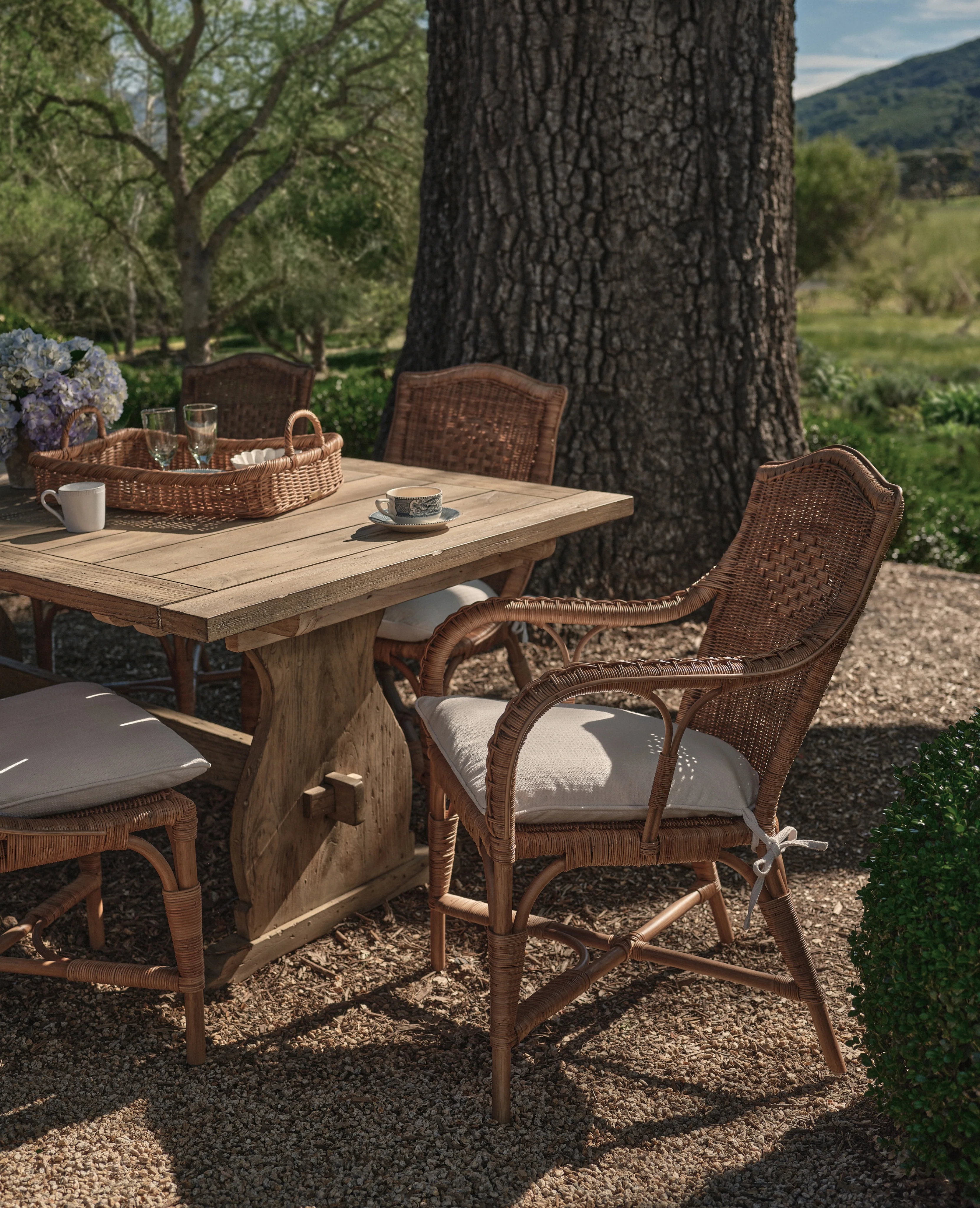 Memory Rattan Dining Armchair - Image 2