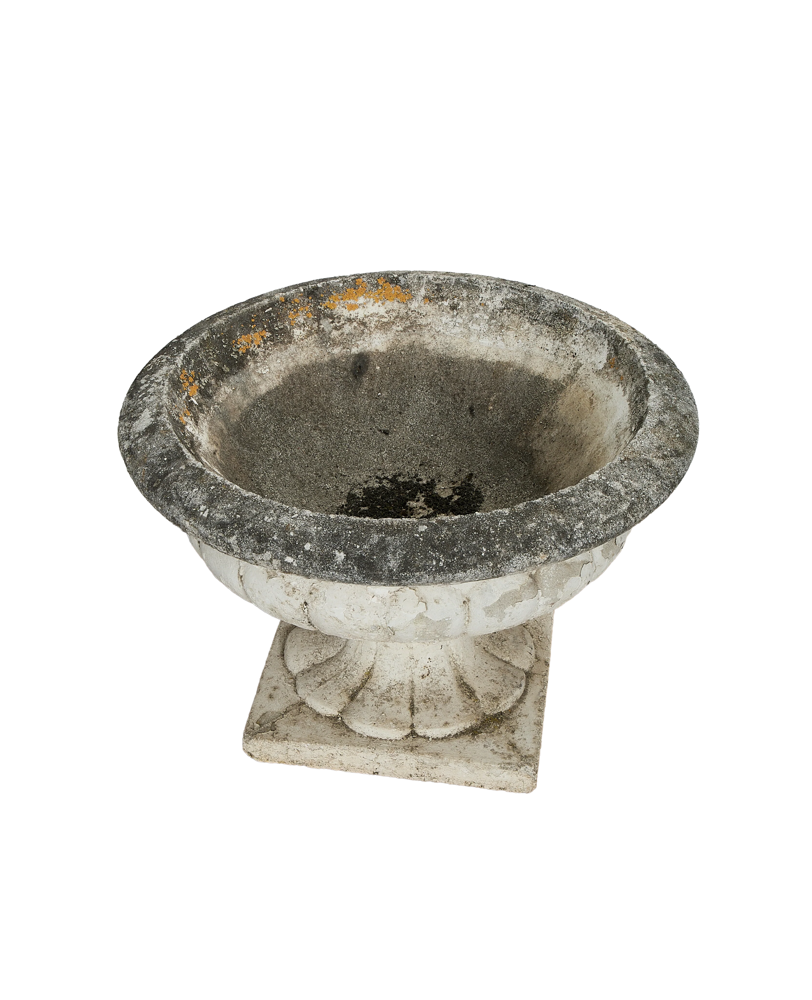 Medicis Vasque - Image 5