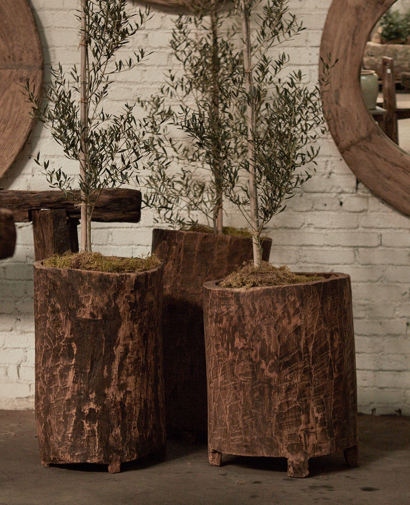 Nagaland Planter - Assorted - Image 3