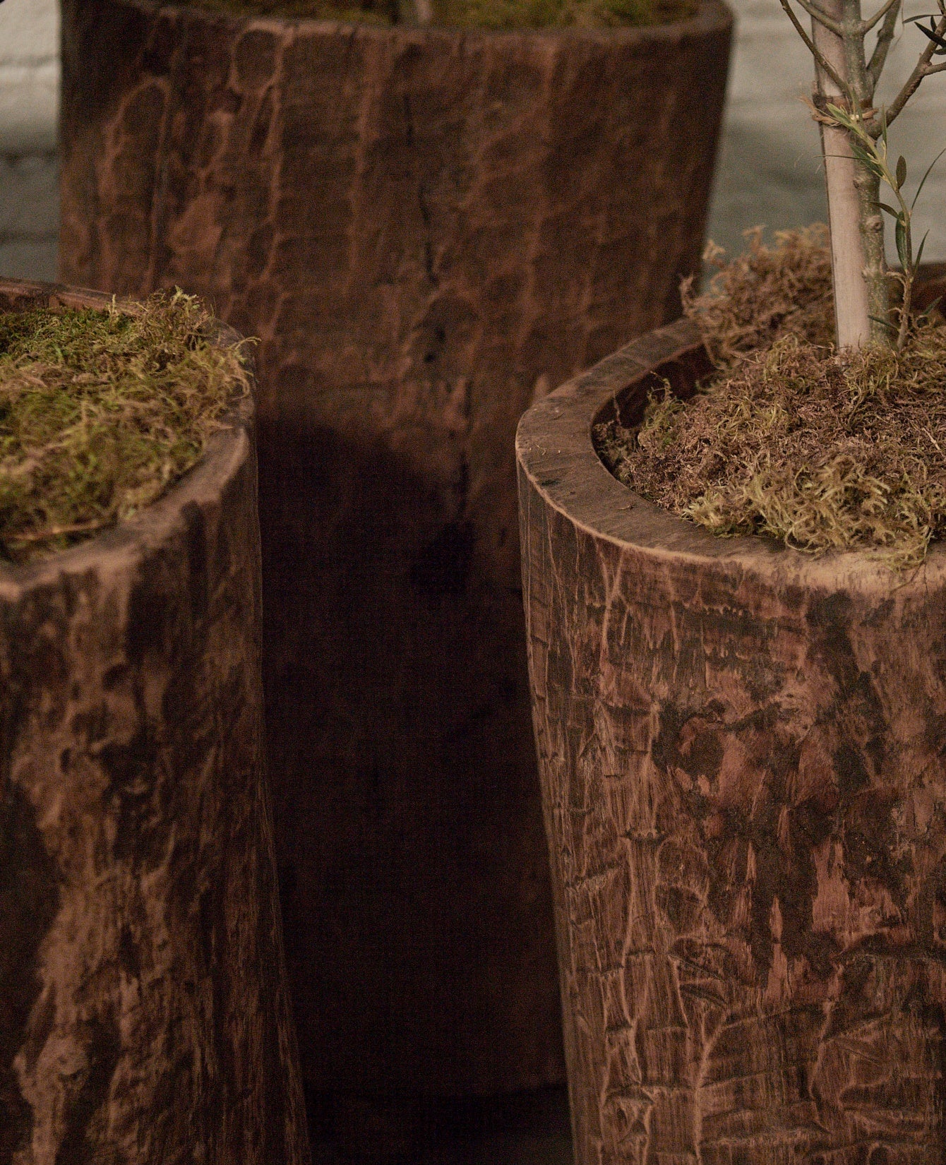 Nagaland Planter - Assorted - Image 4