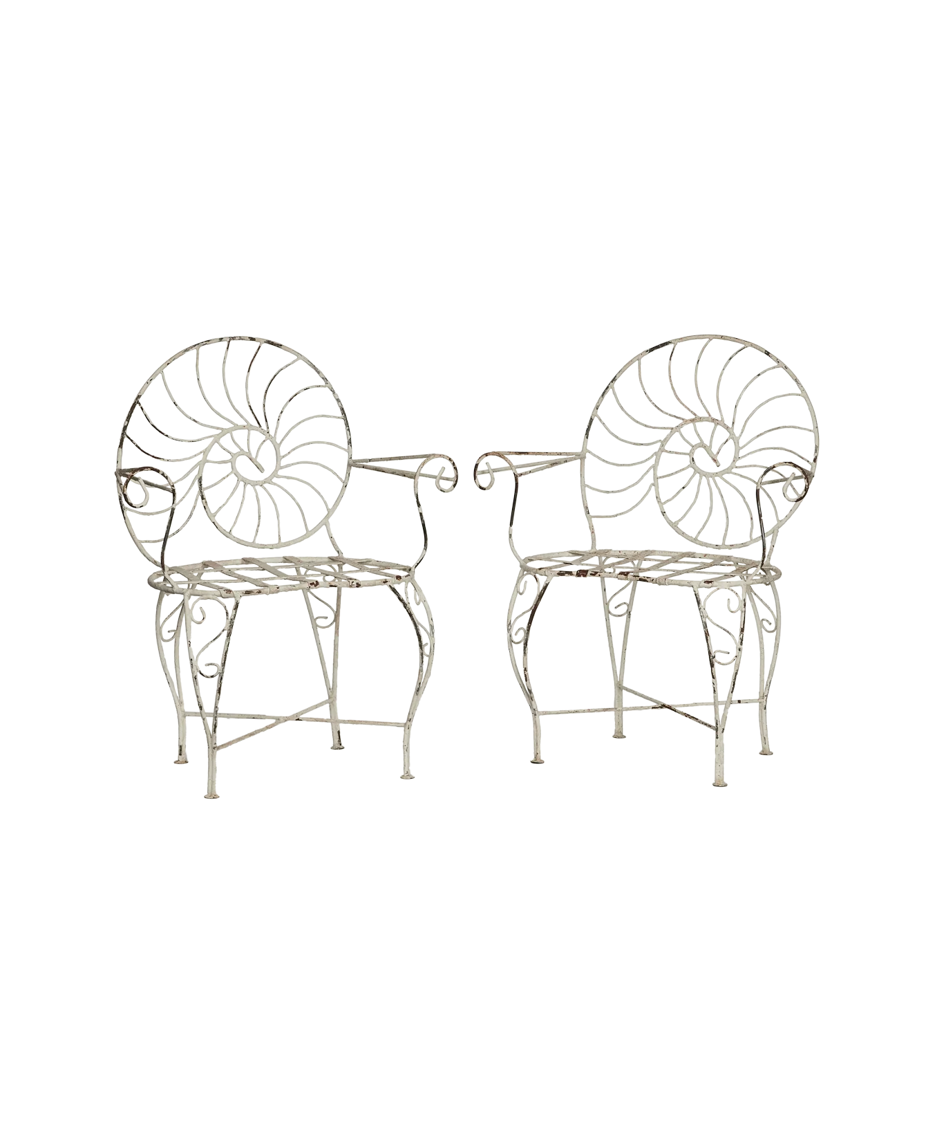 Nautilus Shell Back Chair