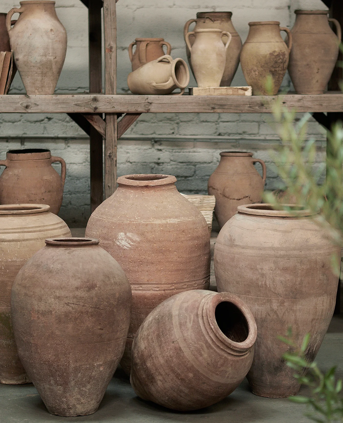 Olive Jar - Terra Cotta - Image 4