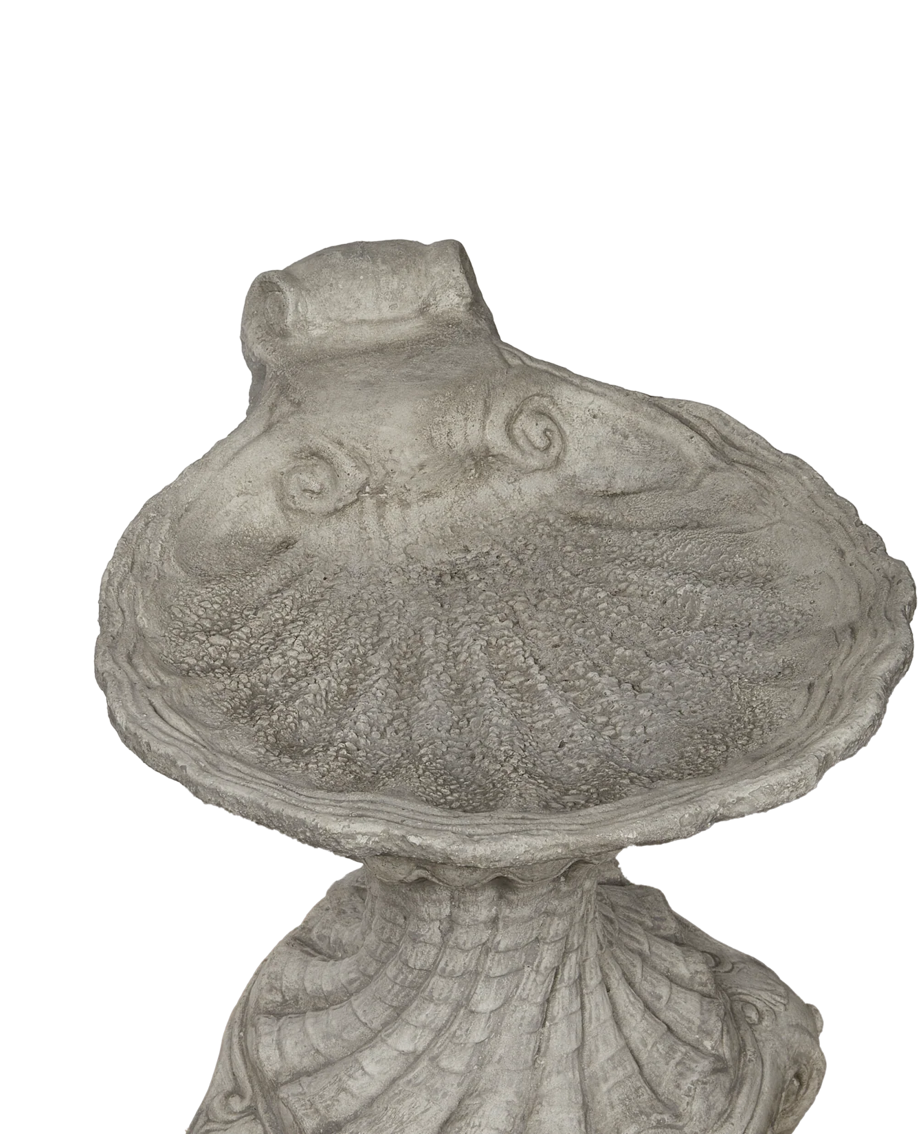 Cast Shell Bird Bath - Image 5