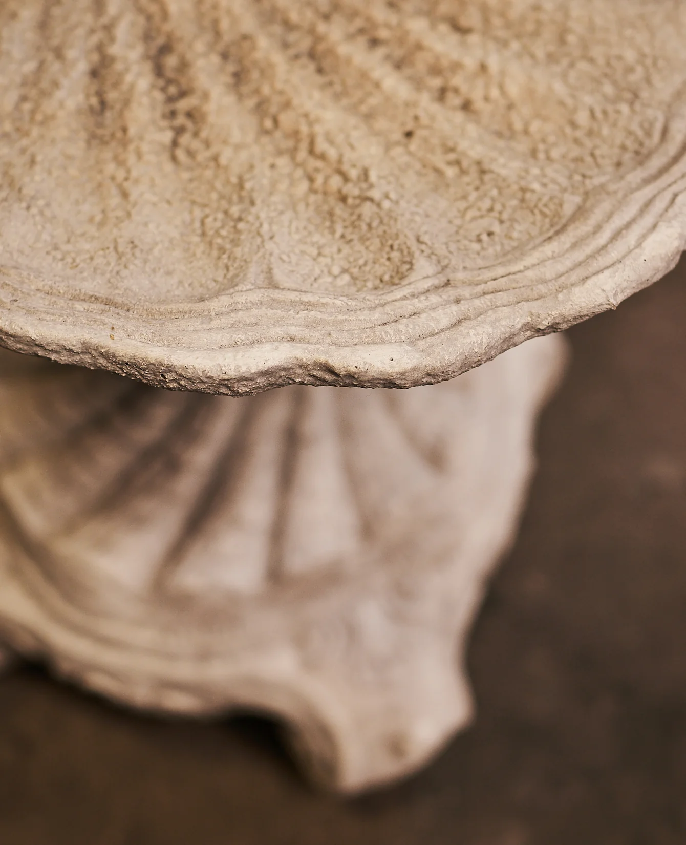 Cast Shell Bird Bath - Image 8