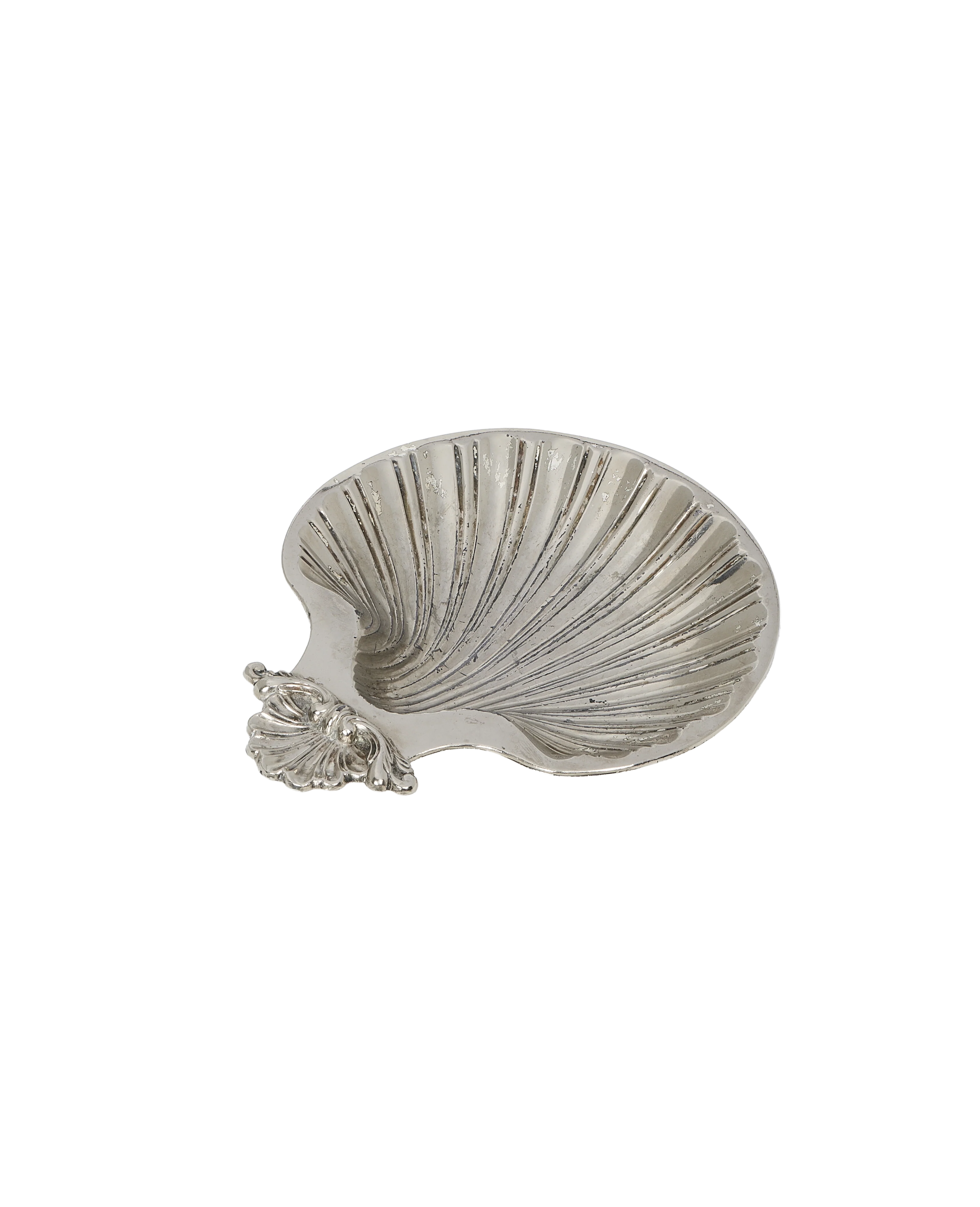 Shell Vide Poche - Image 4
