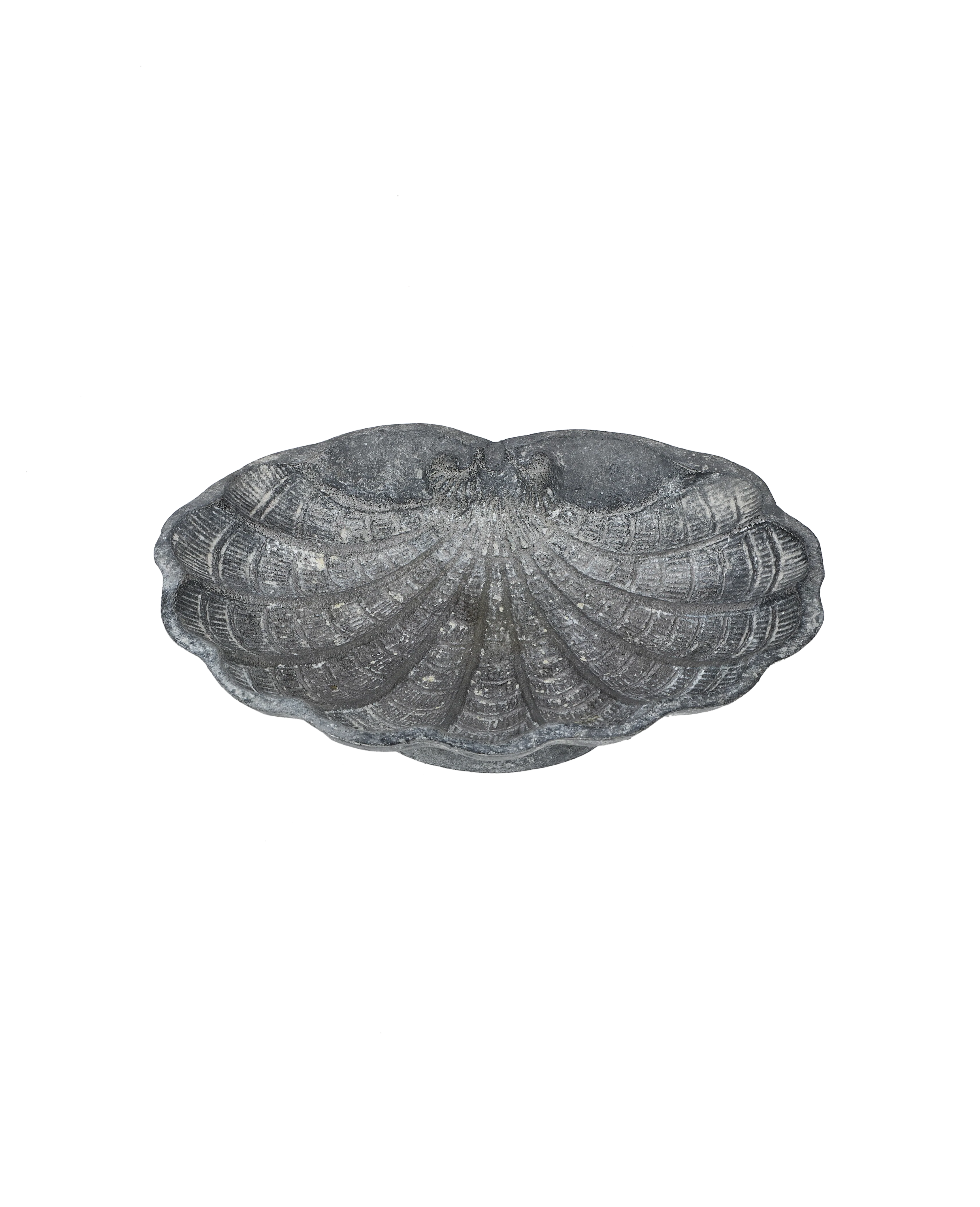 Small Shell Vide Poche