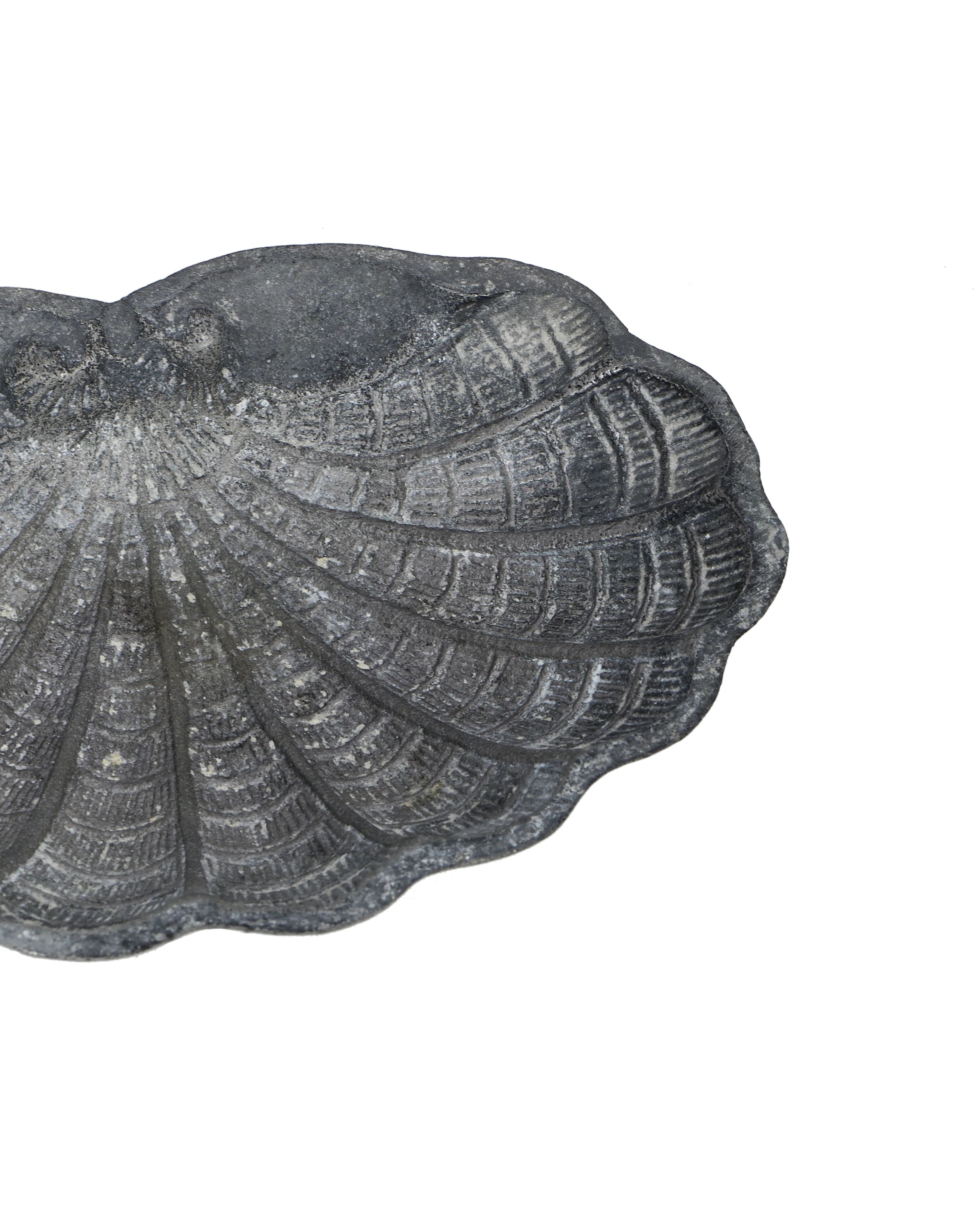 Small Shell Vide Poche - Image 5