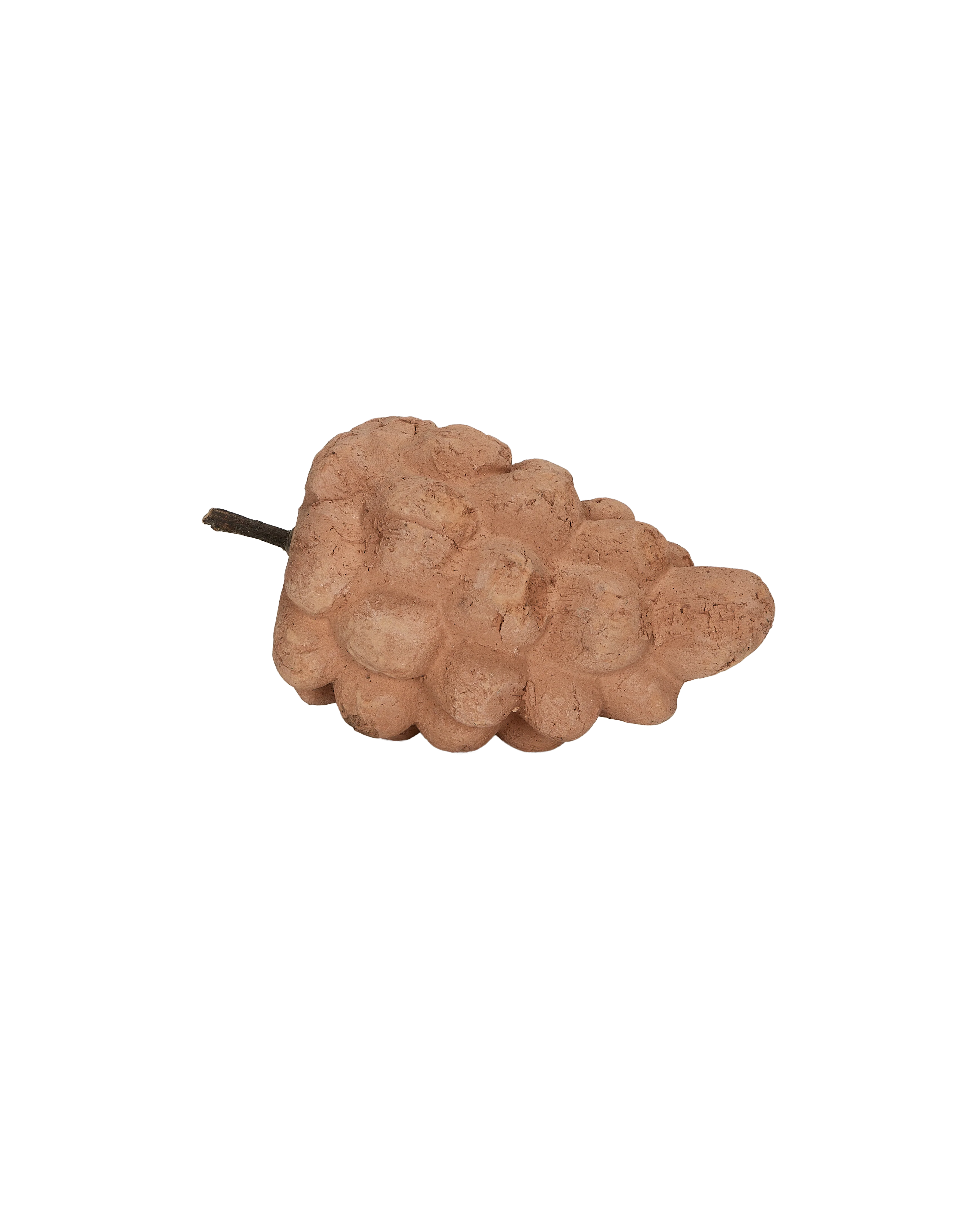 Terra Cotta Grapes