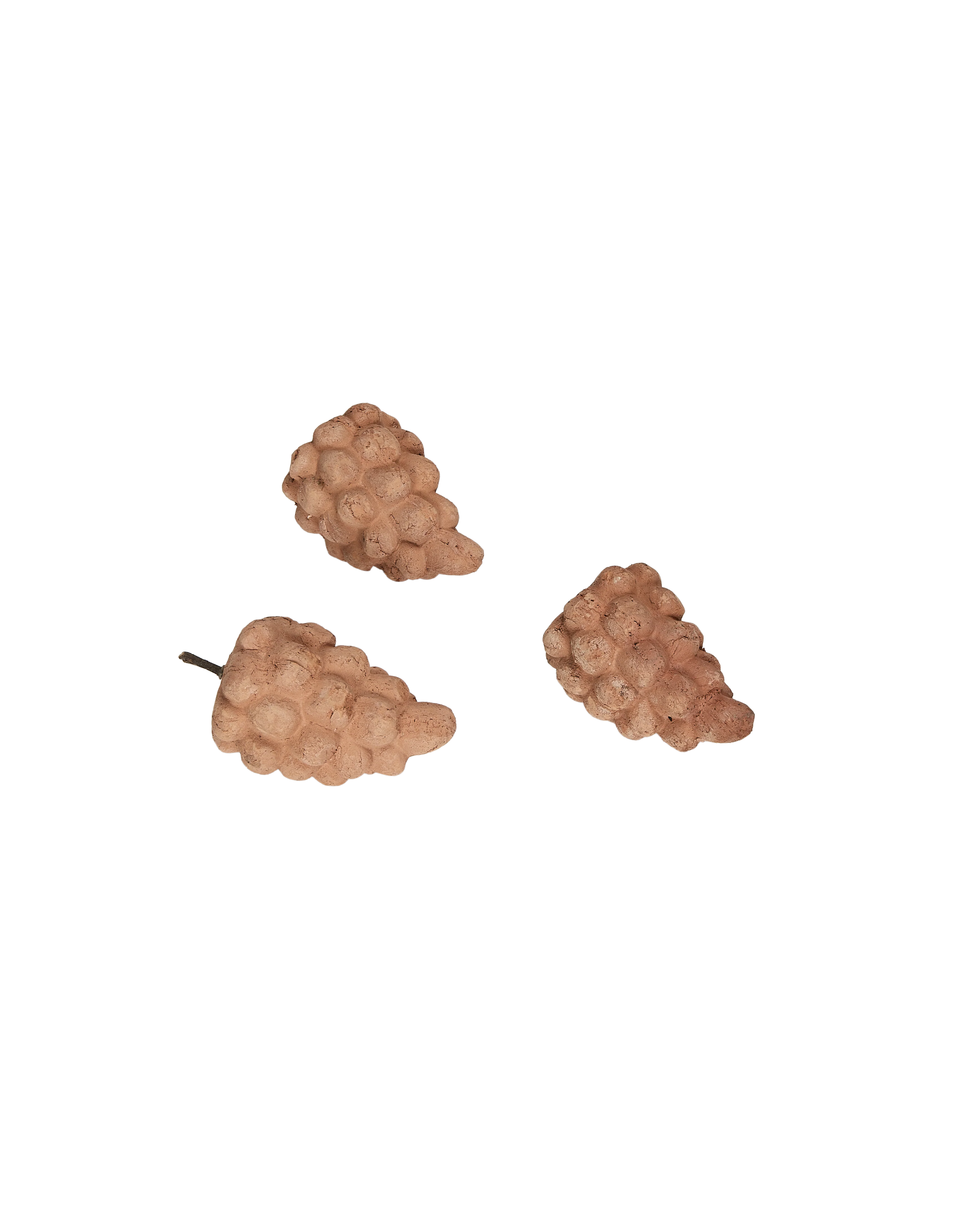 Terra Cotta Grapes - Image 3