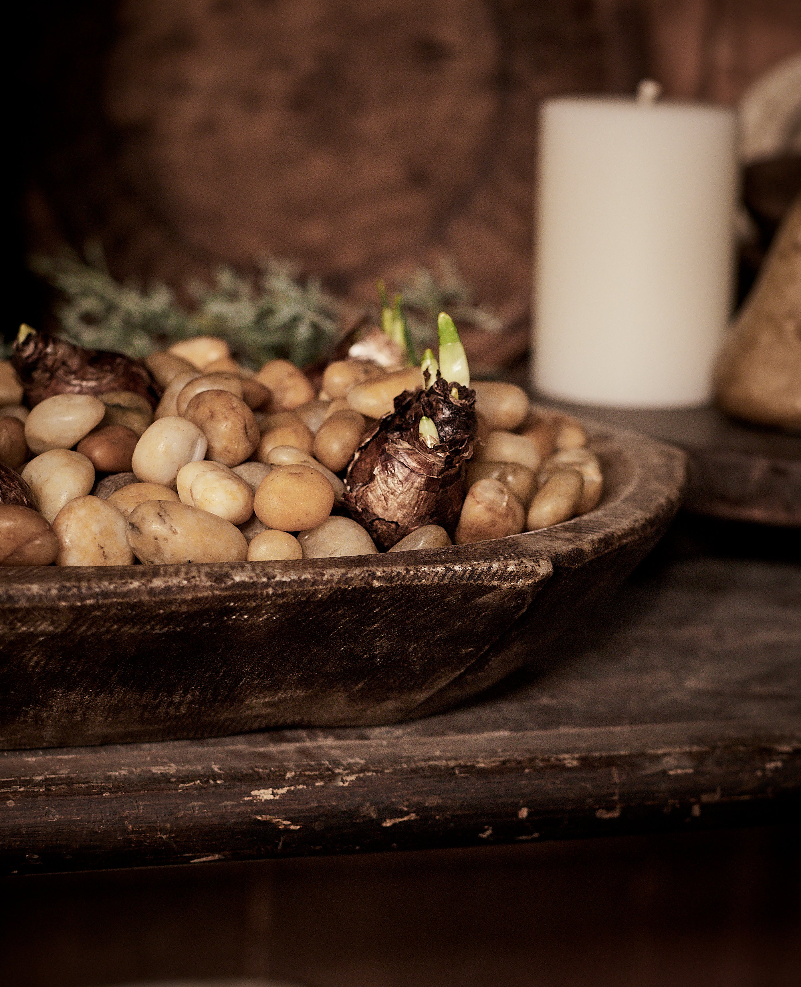 The Bloomist Bundle - Image 5