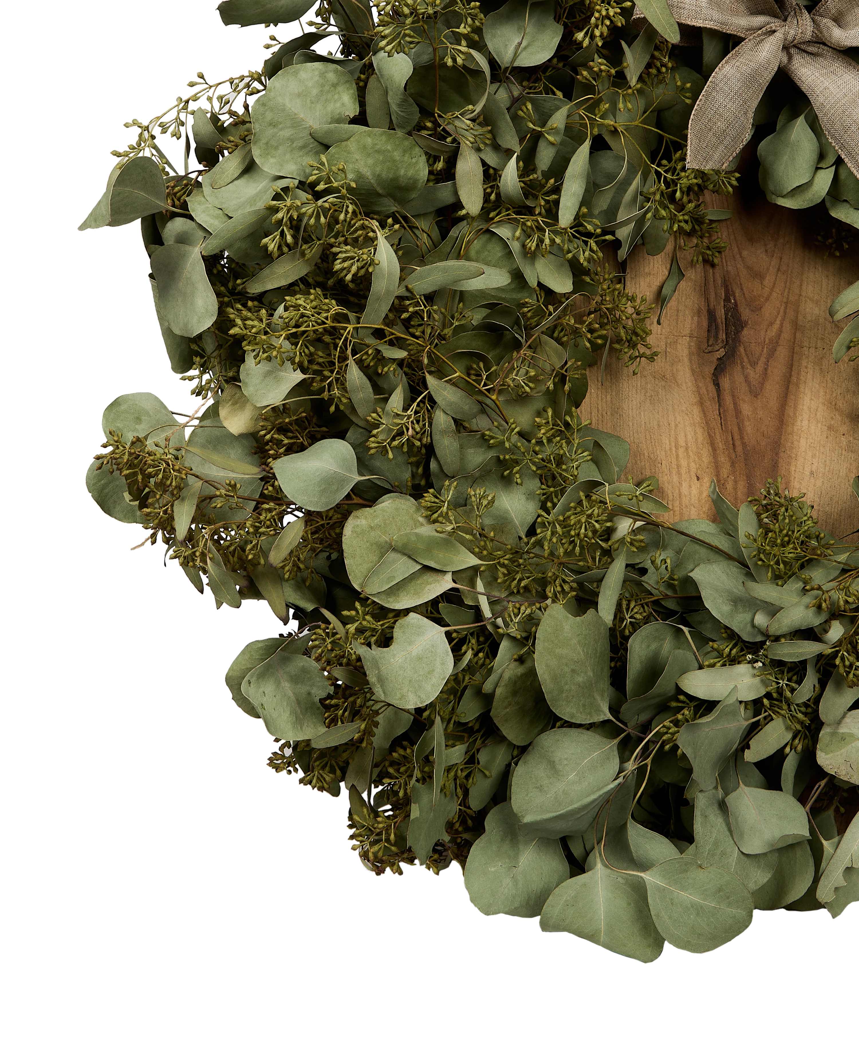 The Matriarch Bundle - Image 3