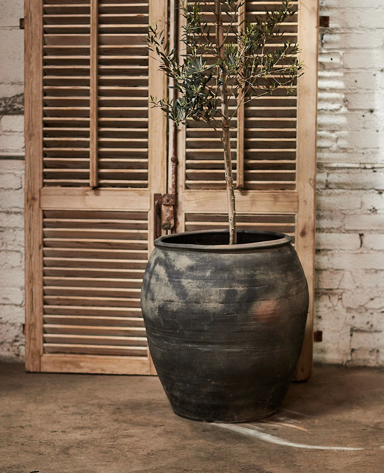Water Planter - Image 3