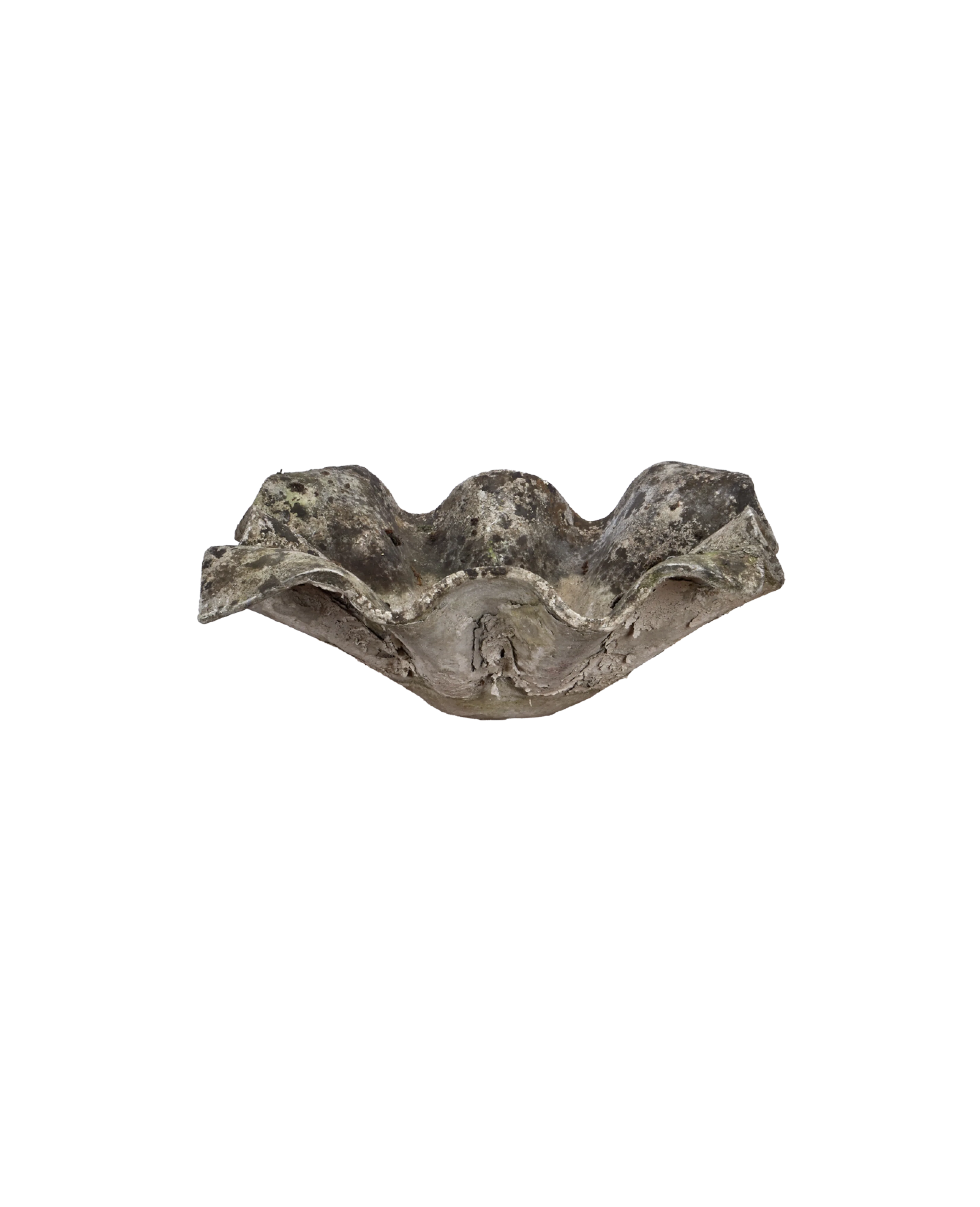 Willy Guhl Planter - Elephant - Image 2