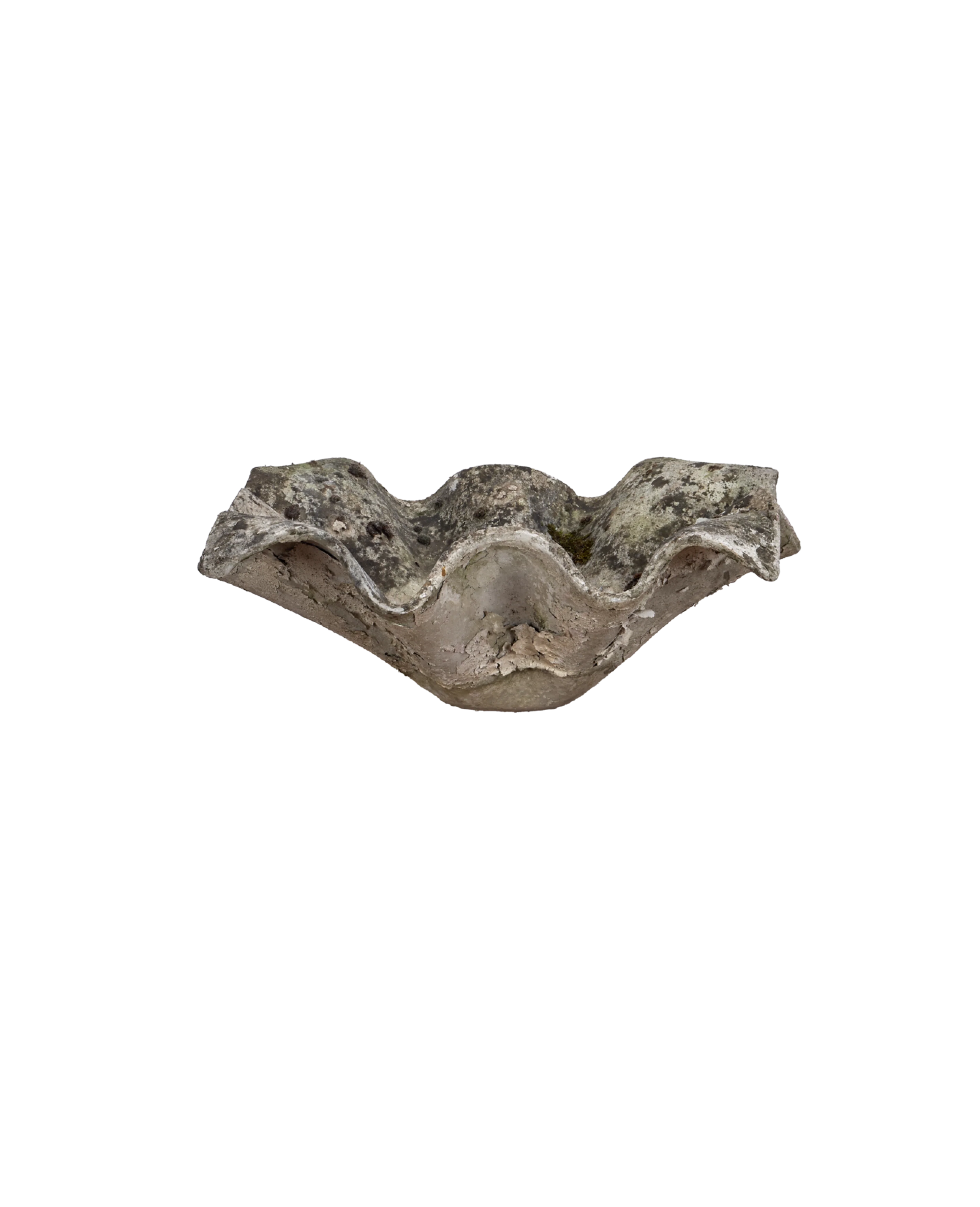 Willy Guhl Planter - Elephant - Image 4