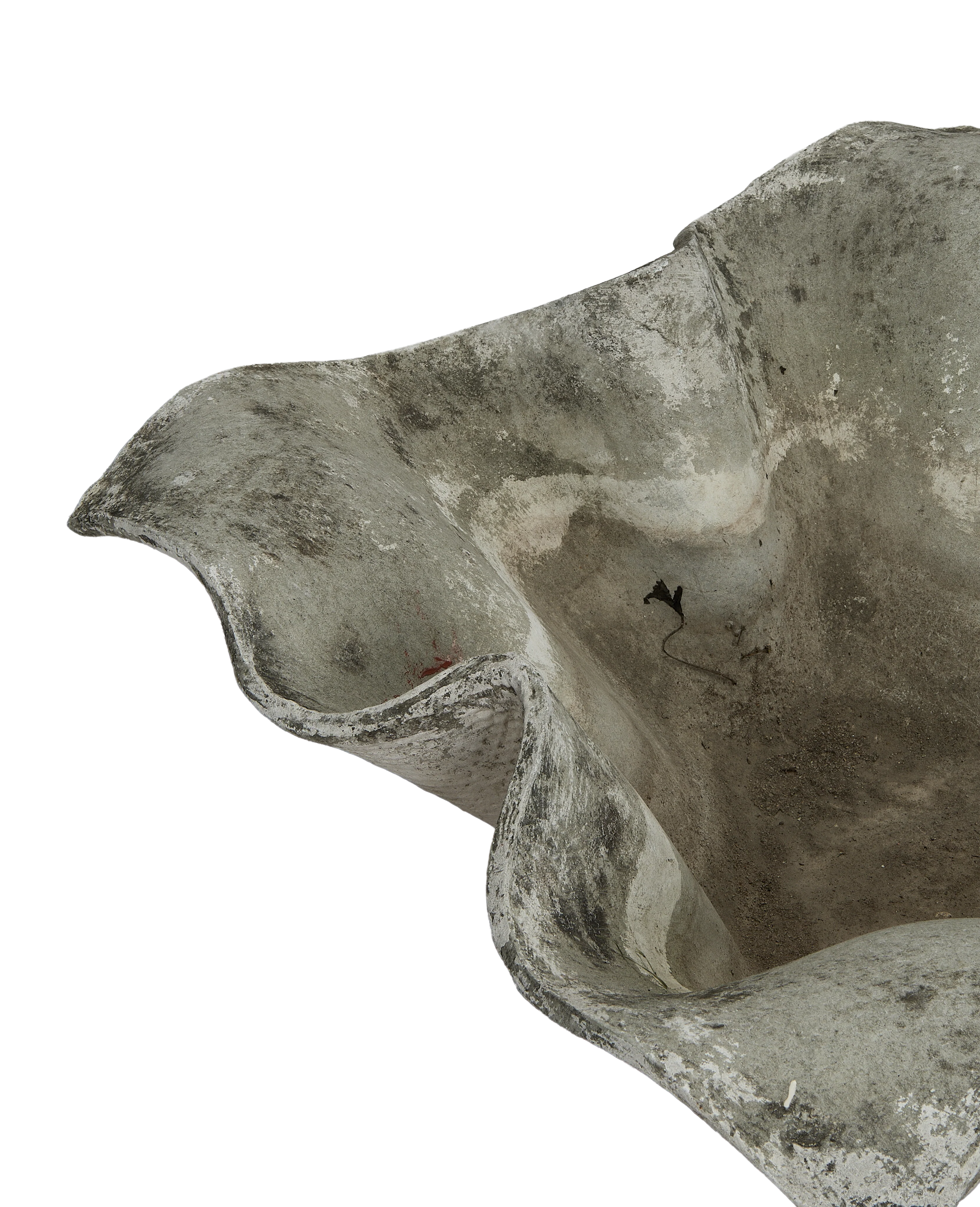 Willy Guhl Planter - Elephant - Image 5
