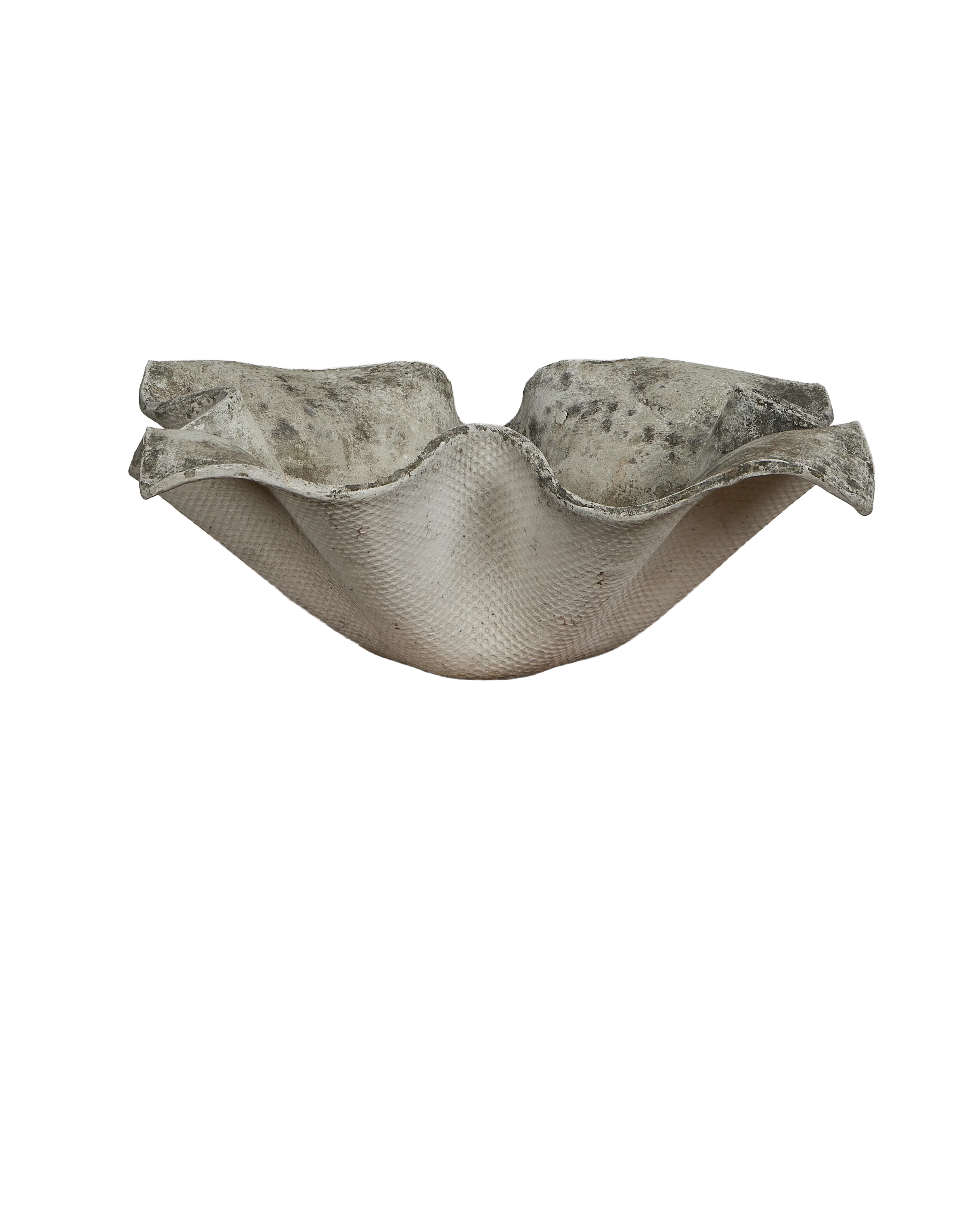 Willy Guhl Planter - Elephant - Image 4