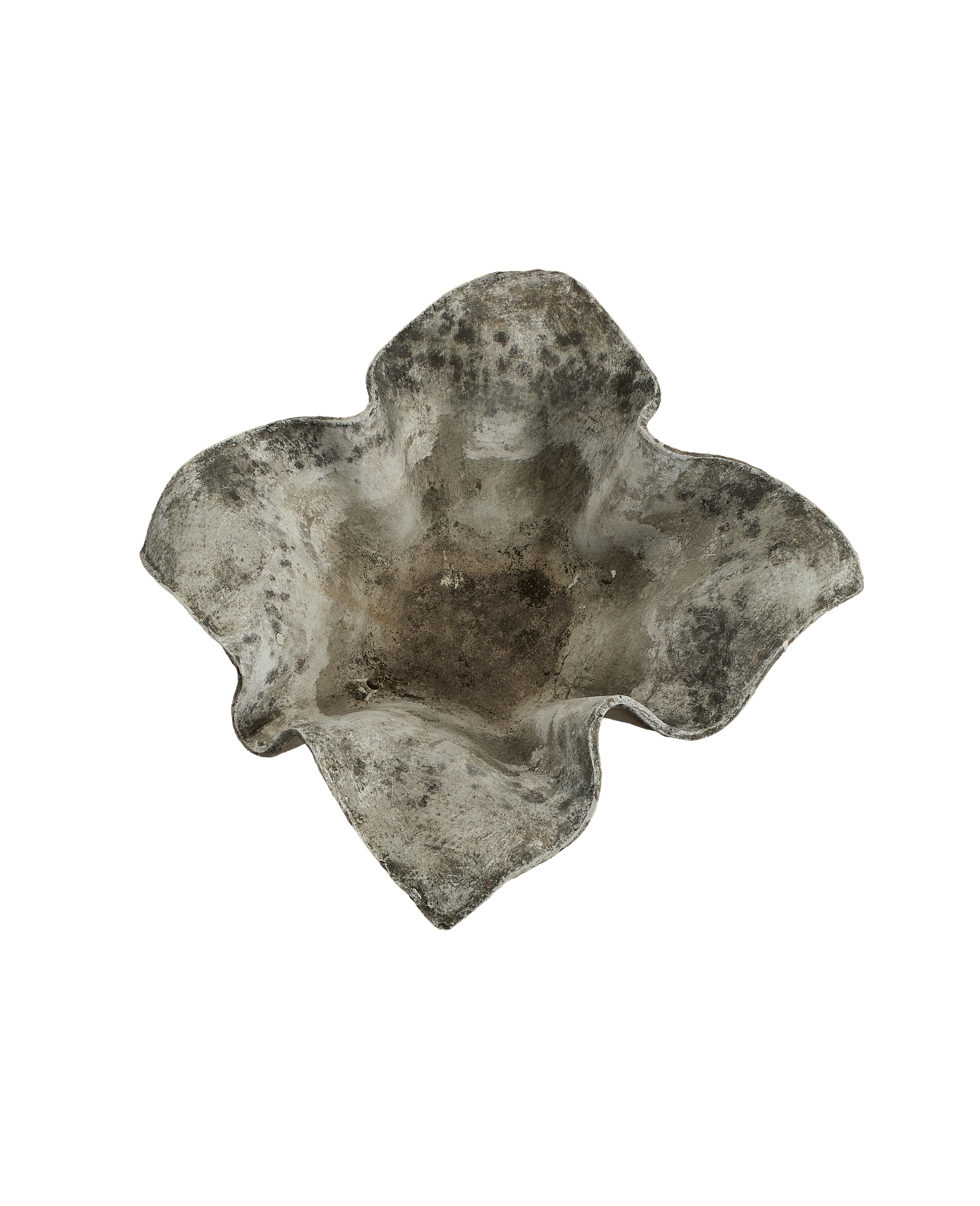 Willy Guhl Planter - Elephant - Image 5