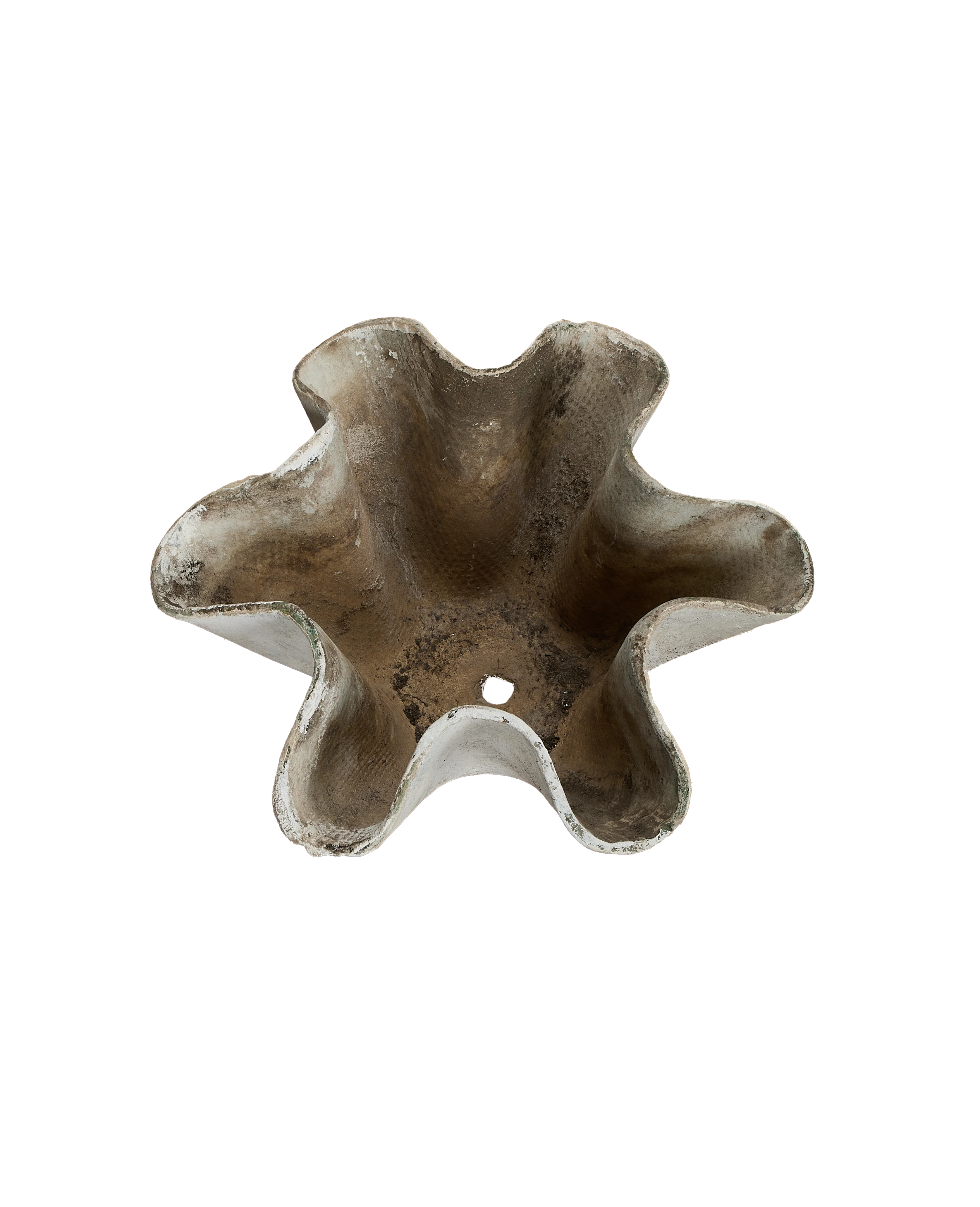 Willy Guhl Planter - Organic - Image 6