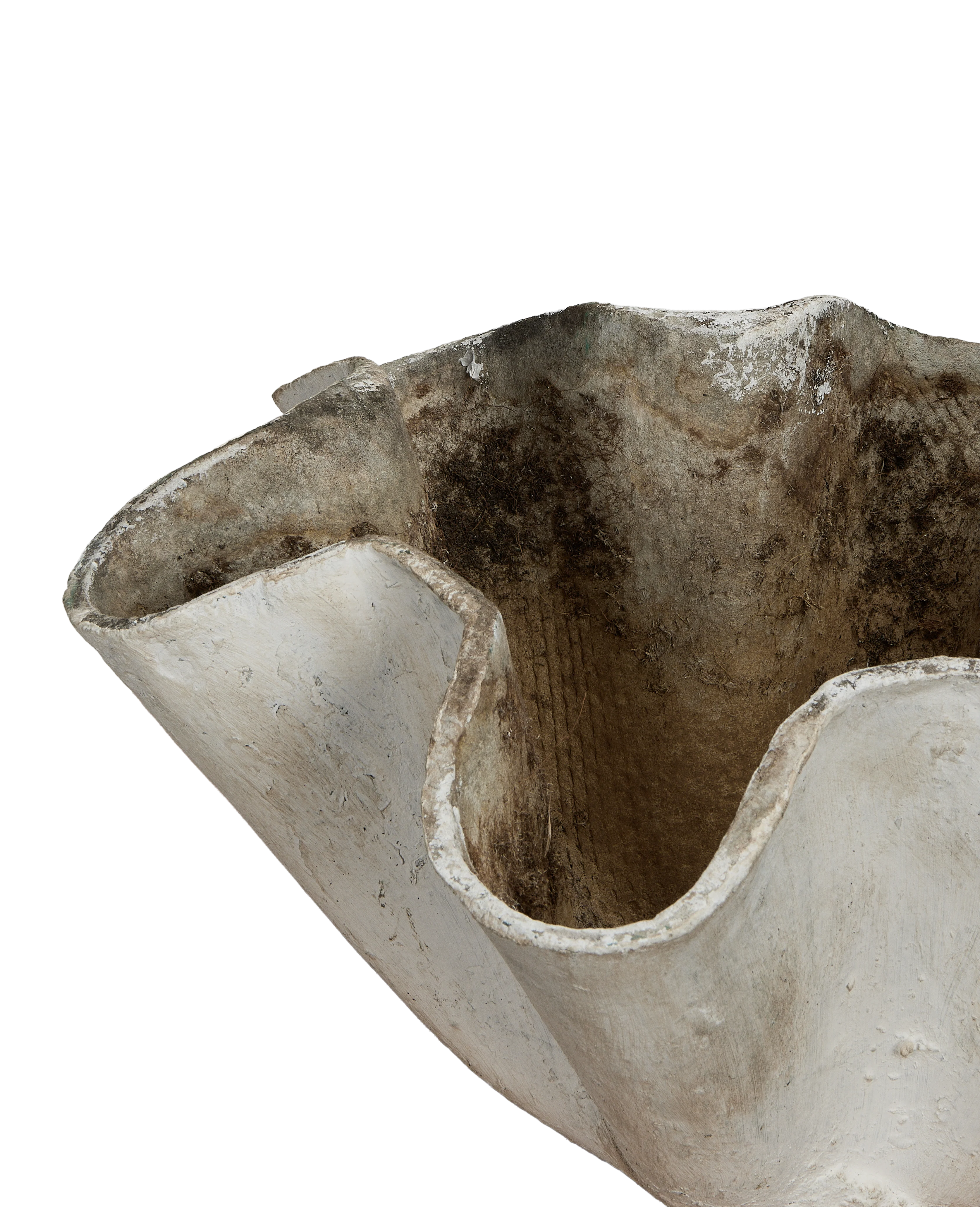 Willy Guhl Planter - Organic - Image 5