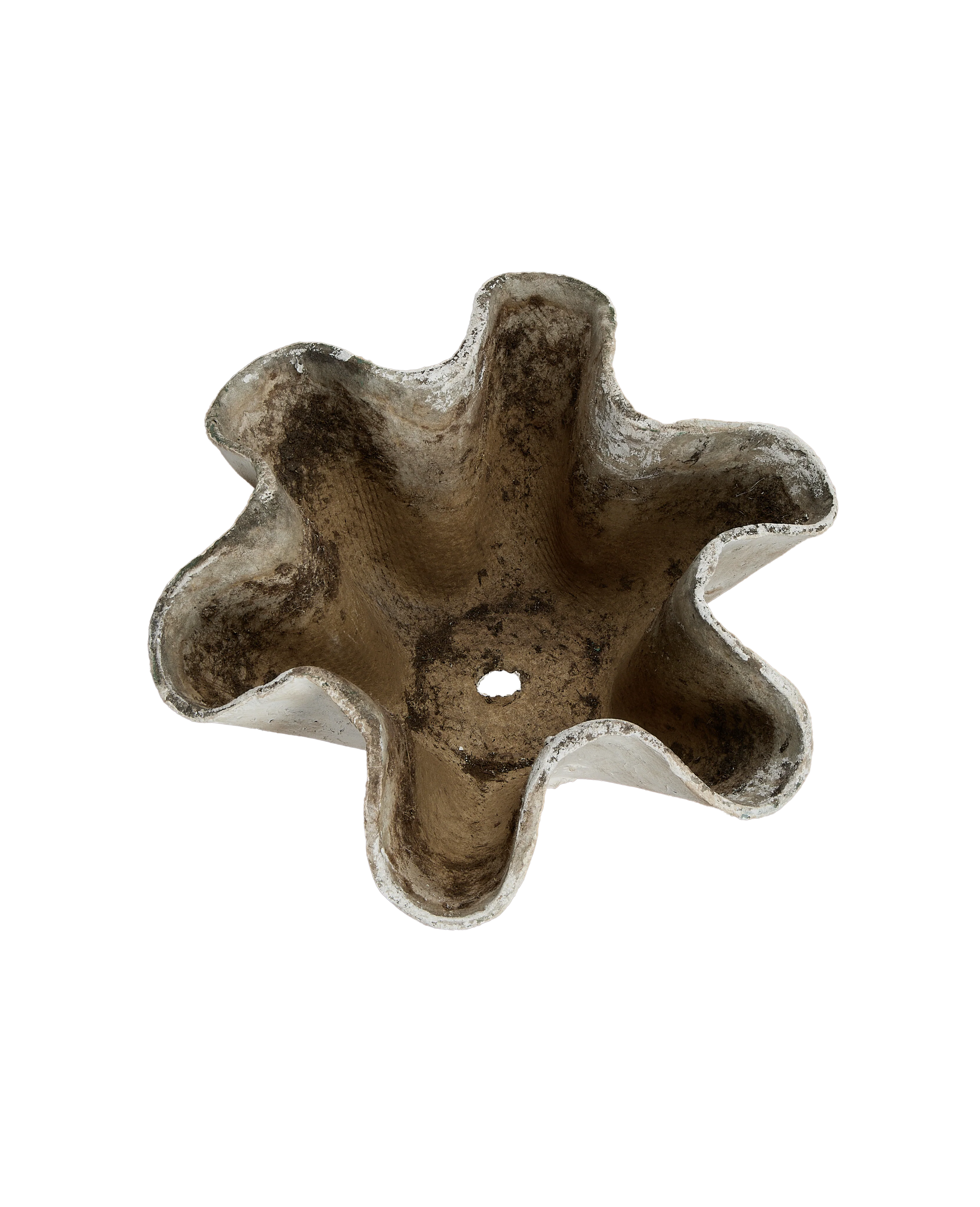 Willy Guhl Planter - Organic - Image 6