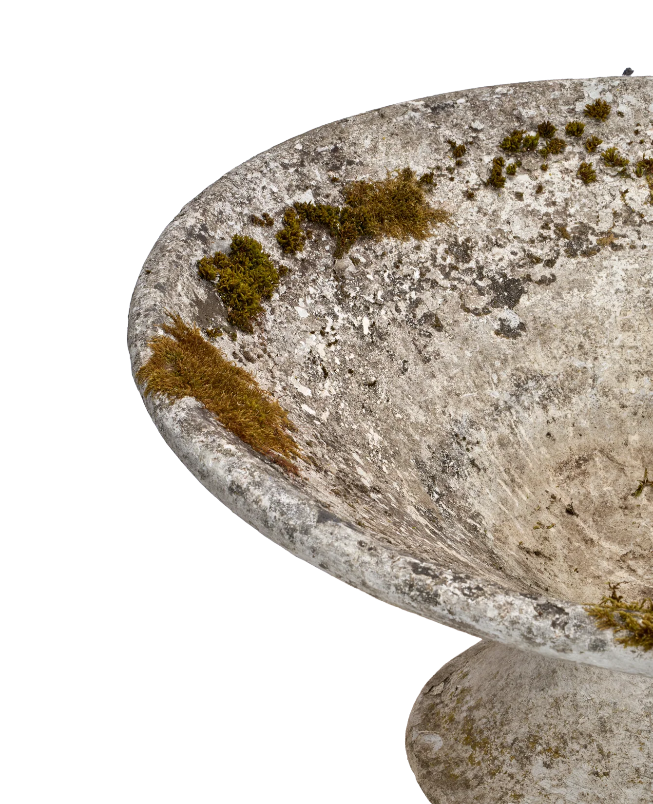 Willy Guhl Planter - Soucoupe - Image 5